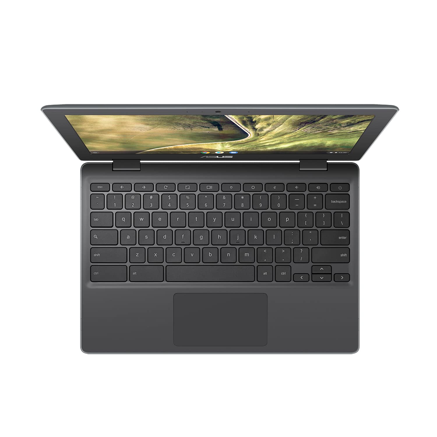 ASUS Touchscreen Chromebook C204MA 11.6